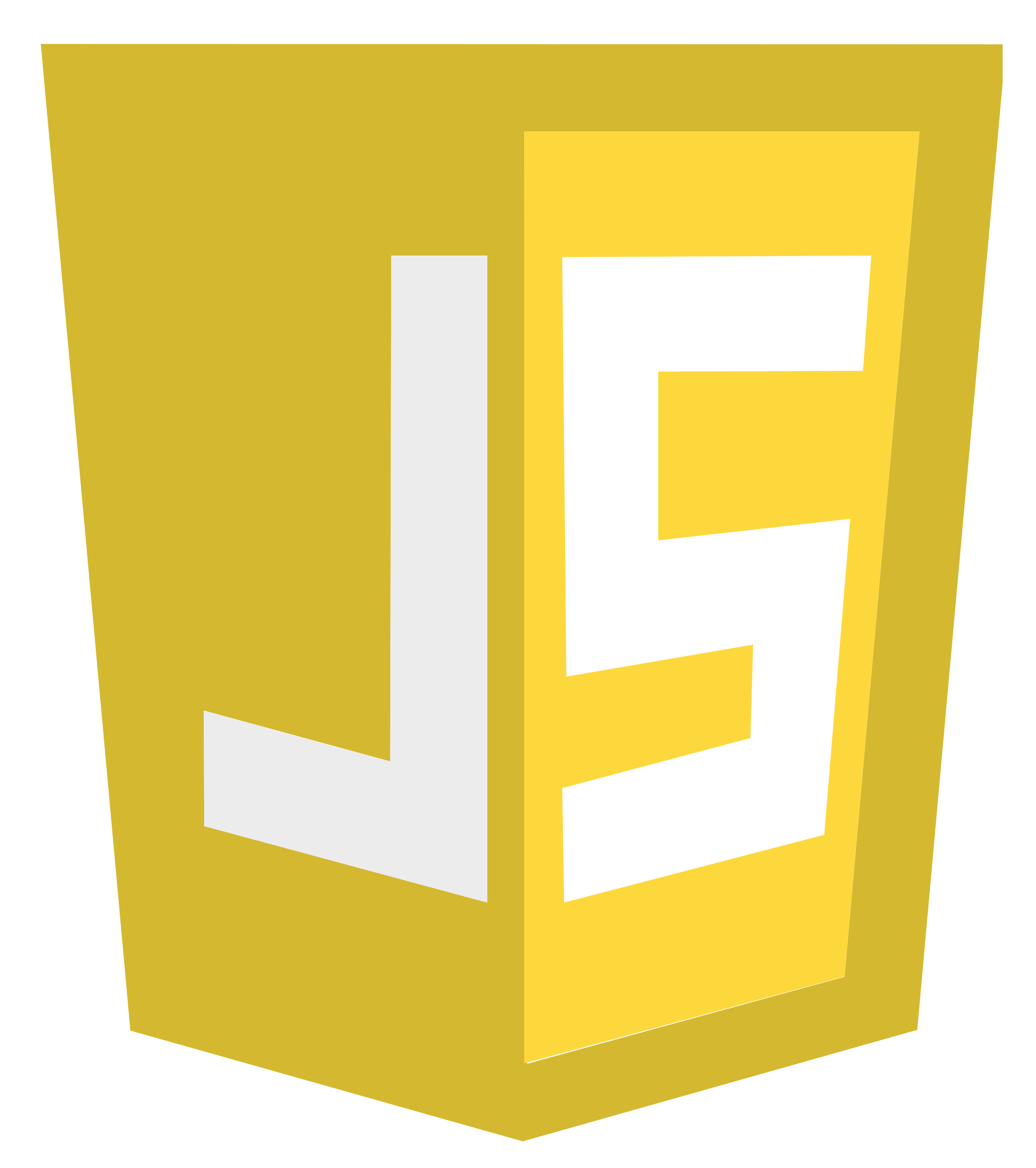 JavaScript Icon